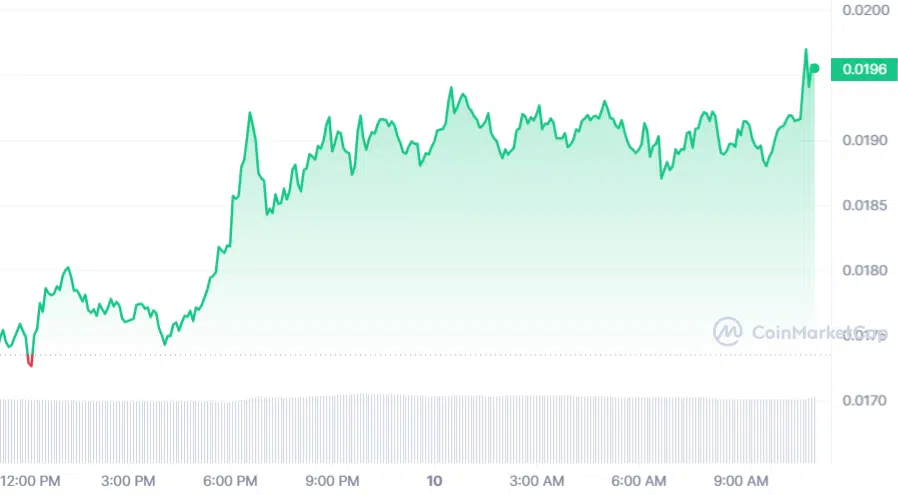 NotCoin Surge