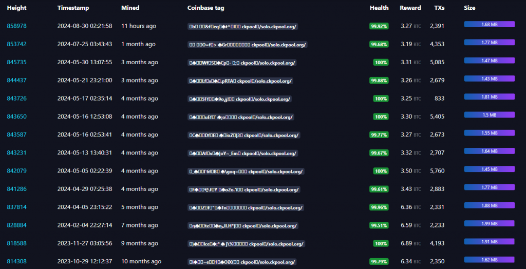 The SoloCK “pool” has earned .5 million in the last year. Source: Mempool.space  